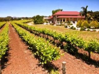 Barossa Shiraz Estate Lyndoch