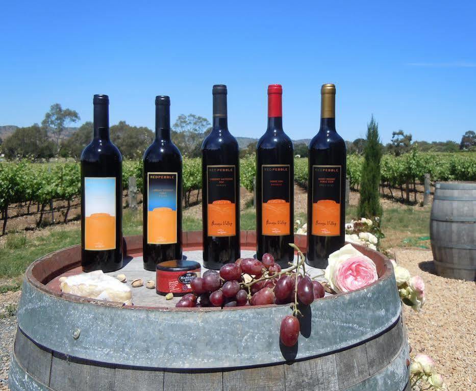 Barossa Shiraz Estate Villa Lyndoch